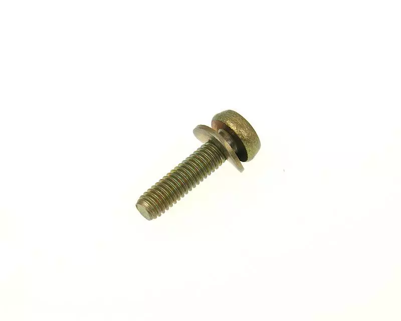 Float Bowl Fixation Screw Arreche