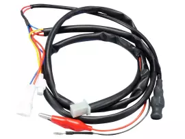 CABLES ECU Yamaha X-City, X-Max 125 4V Euro3 08-09