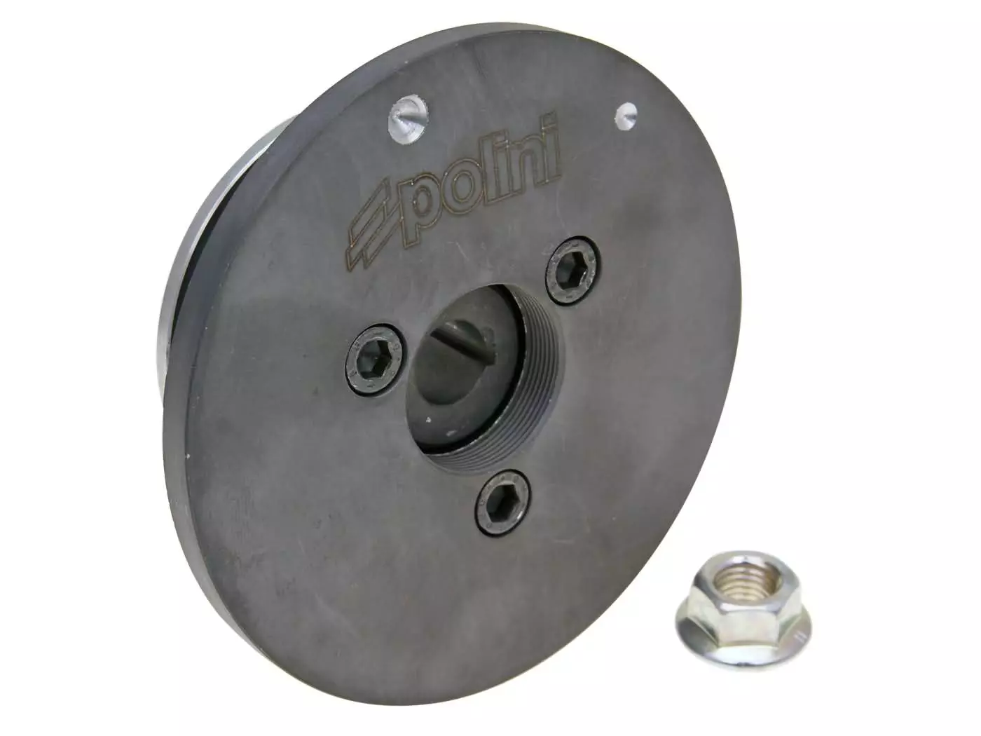 Rotor Polini Evolution P.R.E. 100cc For Piaggio ZIP 50 2-stroke