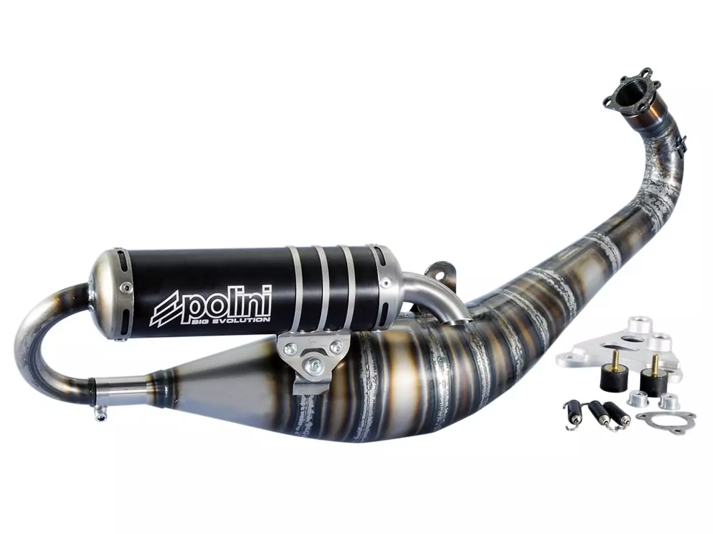 Buy now: Exhaust Polini Racing Big Evolution Limited Edition TWD Yamaha LC 94ccm Exhaust Polini Racing Big Evolution Limited Edition TWD Yamaha LC 94ccm