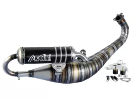 Exhaust Polini Racing Big Evolution Limited Edition TWD Yamaha LC 94ccm