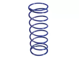 Torque Spring Polini +15% For Honda 250 -1998, Kymco Grand Dink, People, Xciting 250