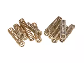 Clutch Spring Kit Polini For Yamaha T-Max 530