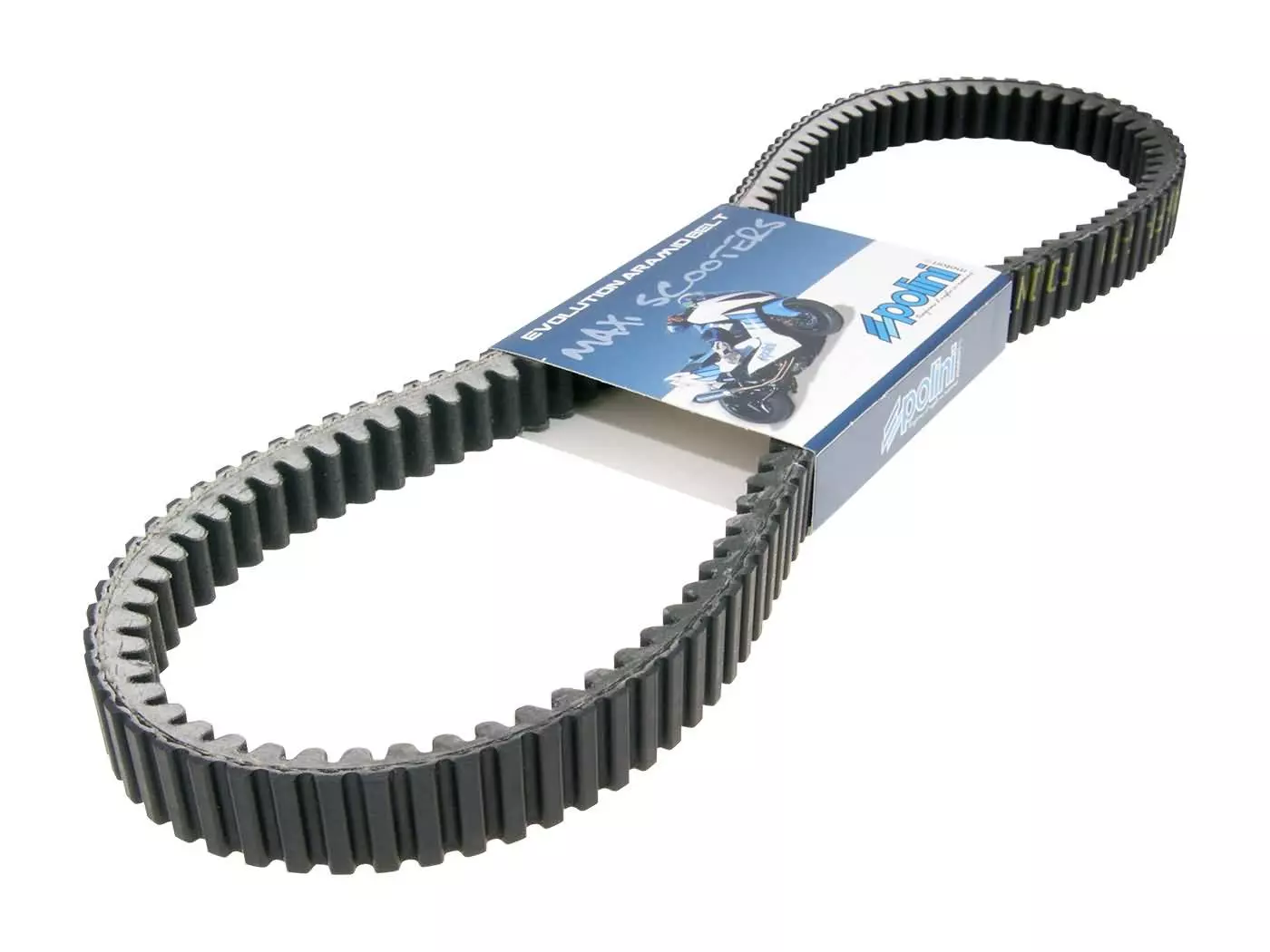 Drive Belt Polini Aramid Maxi For Piaggio Beverly 350, X10 350