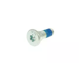 Pan Head Screw M8 For Brake Disc With 10mm Hole