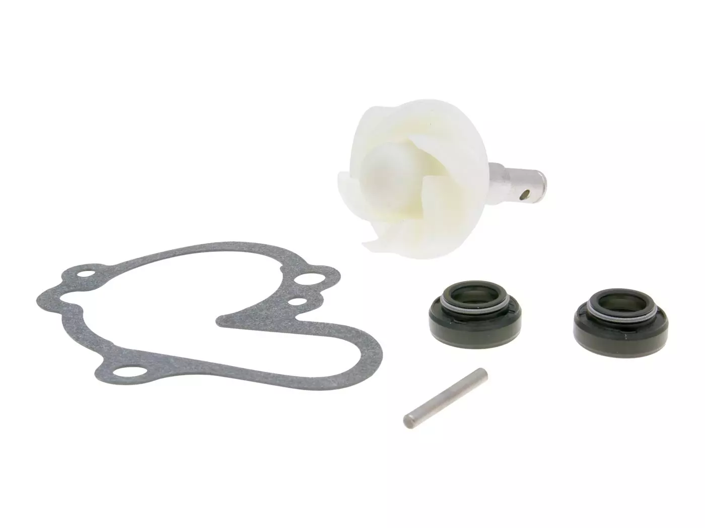 Water Pump Repair Kit For Beeline, CPI SM 50, SX 50