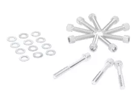 Engine Case / Variator Cover Screw Set Silver-colored For Minarelli