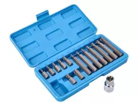 TX Bit Set And Wrench Socket 1/2 Inch 15-piece
