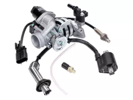 Fuel Injection System For 139QMB 50cc EFI Euro4 / Euro5, GT Union GT3, Striker, Alpha Motors Shark, GMX 460