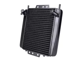 Radiator For Piaggio MP3 125-500, Gilera Fuoco