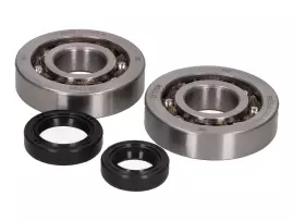Crankshaft Bearing Set ARTEK K1 Racing SKF Polyamide For Peugeot Vertical E1