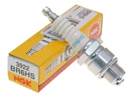 Spark Plug NGK Shielded BR6HS