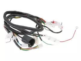 Main Wire / General Wire Harness For Jinlun Fighter 50