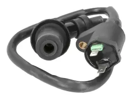 Ignition Coil With Spark Plug Cap