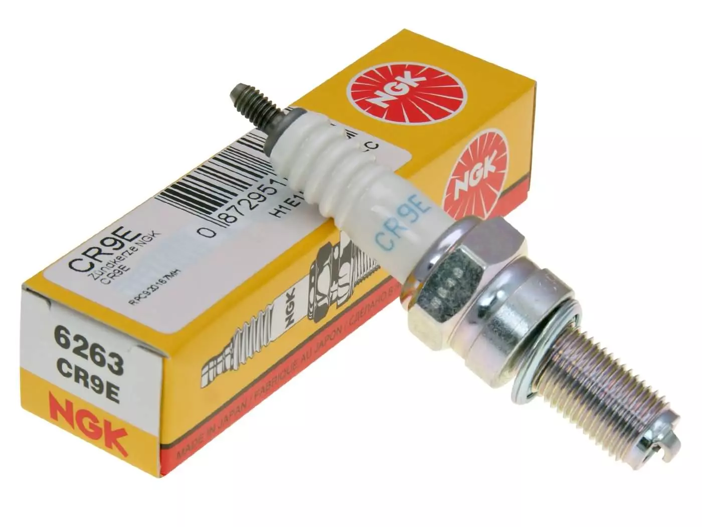 Spark Plug NGK CR9E