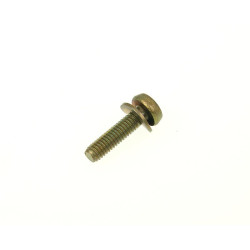 Float Bowl Fixation Screw Arreche