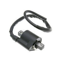 Ignition Coil 1 Pin