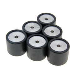 Roller Set / Variator Weights Polini 19x17mm - 8.2g