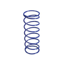 Torque Spring Polini +15% For Honda 250 -1998, Kymco Grand Dink, People, Xciting 250