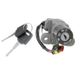 Ignition Switch / Ignition Lock OEM For Generic Trigger