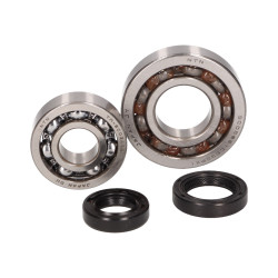 Crankshaft Bearing Set For Aprilia Scarabeo, Piaggio Liberty, Zip, Vespa ET4 50 4T (1st Series, 25mm Bearing Seat)