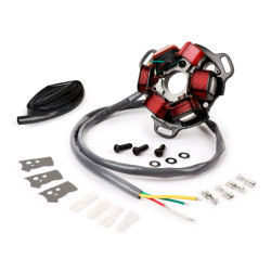 Ignition BGM PRO V4.5 Silicone AC Electronic Ignition For Lambretta