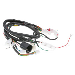 Main Wire / General Wire Harness For Jinlun Fighter 50