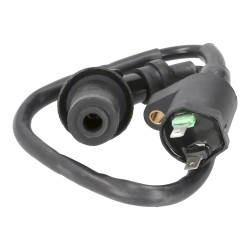 Ignition Coil With Spark Plug Cap