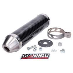 Muffler Giannelli Carbon For Aprilia RS 50 99-06, Tuono 50 03-06