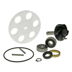 Water Pump Repair Kit For Minarelli LC