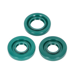 Engine Oil Seal Set For Puch Maxi S, N, Supermaxi LG1 E50 (old Engine Type)