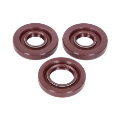 Engine Oil Seal Set FKM For Puch Maxi (old Engine Type)