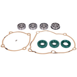 Engine Gasket And Bearing Set For Puch Maxi S, N, E50 (old Type Engine)
