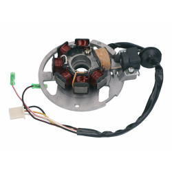 Alternator Stator Version 1 For Keeway, CPI