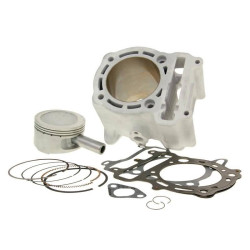 Cylinder Kit Malossi Aluminium Sport 290cc For Aprilia, Benelli, Italjet, MBK, Yamaha