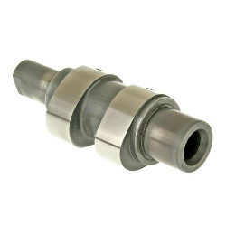 Camshaft Malossi Power Cam For Piaggio 4-stroke