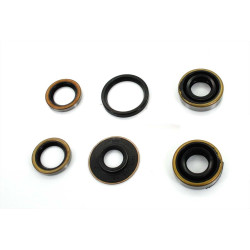 Engine Oil Seal Set For Hercules Sachs 50 MB