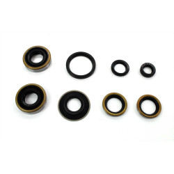 Oil Seal Set 8 2x 15x30x7 1x 15x31,5x3,5 16x24x4 25x31,2x4 10x16x4,5 For Hercules, Miele, DKW, KTM, Göricke, Gritzner