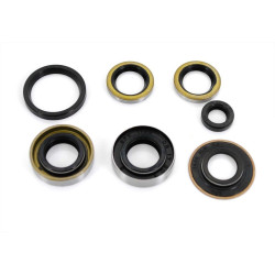Shaft Seal Set For Hercules Sachs 50 MB 3 / 4 Speed Engine