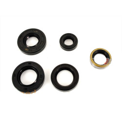 Engine Oil Seal For Tomos A 3 Moped