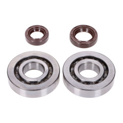 Crankshaft Bearing Set Naraku SKF, FKM Premium C3 For Peugeot Vertical Euro1