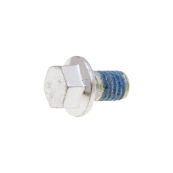 Screw W/ Flange OEM M6x17