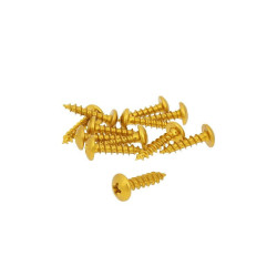 Fairing Screws Anodized Aluminum Gold - Set Of 12 Pcs - M5x20