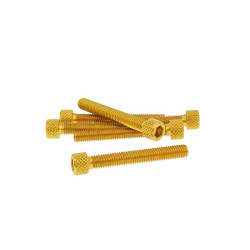 Hexagon Socket Screw Set - Anodized Aluminum Gold - 6 Pcs - M6x45 - Styling