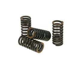 Valve Spring Set Malossi Titanium For Aprilia, Piaggio, Vespa, Gilera V4