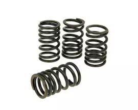 Valve Spring Set Malossi For Honda SH300i (07-), NSS 300i