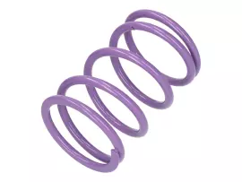 Torque Spring Malossi MHR Lilac K19.74 / L105mm For Kymco AK 550ie