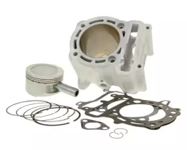 Cylinder Kit Malossi Aluminium Sport 290cc For Aprilia, Benelli, Italjet, MBK, Yamaha