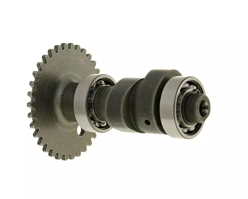 Buy now: Camshaft Malossi Power Cam For Honda, Piaggio, Peugeot Camshaft Malossi Power Cam For Honda, Piaggio, Peugeot
