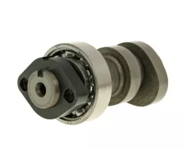 Camshaft Malossi Power Cam For Honda SH 300i, NSS 300i